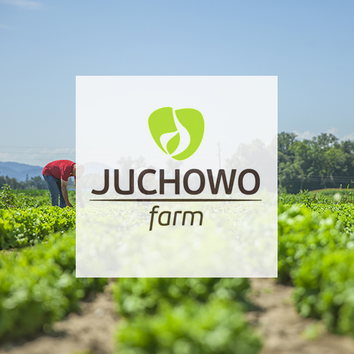 Nowa dostawa - Juchowo