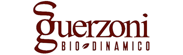 Guerzoni