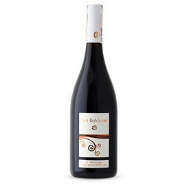 Włoskie czerwone wino wytrawne Ser Balduzio IGT Marche 2013 Azienda Agricola Fiorano