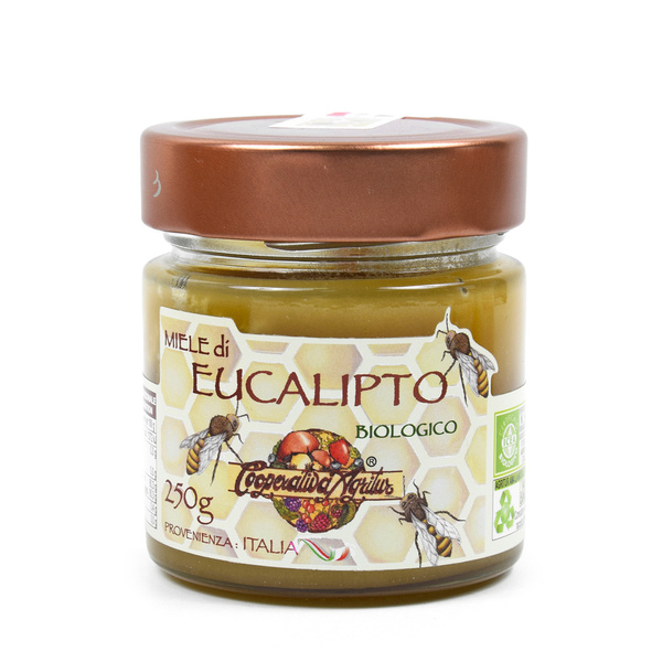 MIÓD EUKALIPTUSOWY MIELE DI EUCALIPTO BIO 250g Agritur